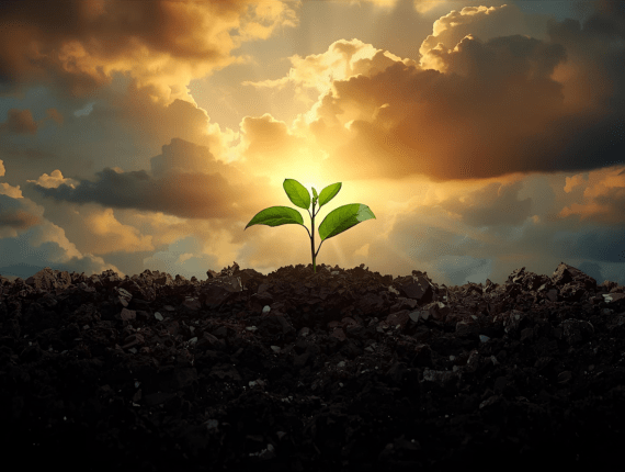 Az egyedülálló spirituális kettősség – bolond és bölcs